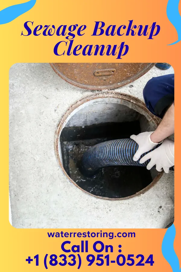 Sewage Backup Cleanup in Hampton Beach, NH